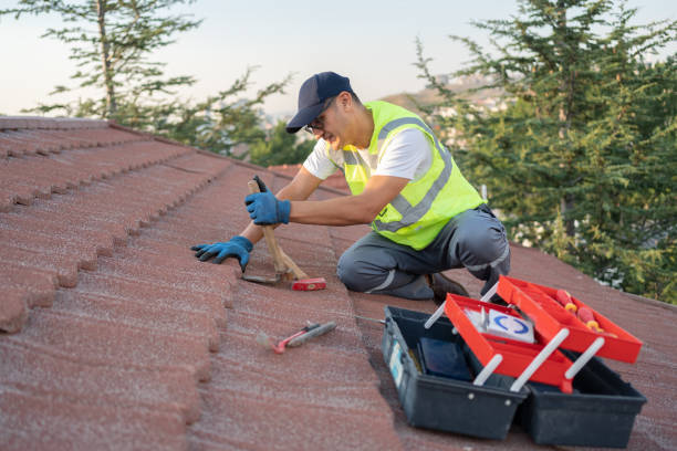 Best Gutter Installation and Roofing  in Leonardo, NJ