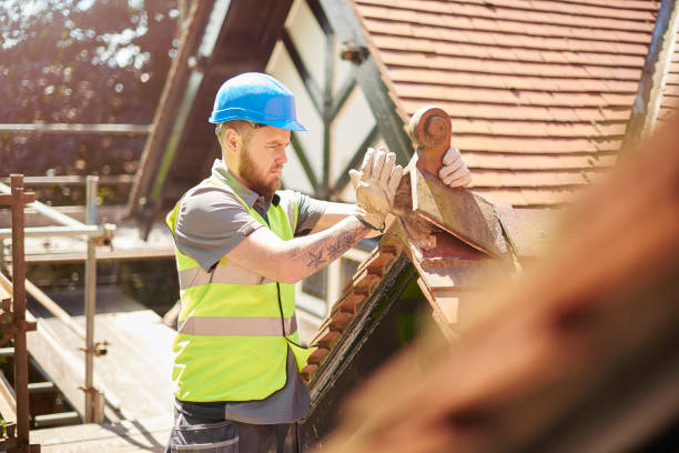 Best Gutter Installation and Roofing  in Leonardo, NJ